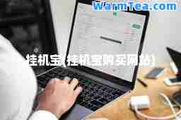 挂机宝(挂机宝购买网站)