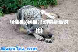 猛兽吧(猛兽吧动物身高对比)