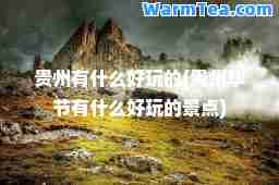 贵州有什么好玩的(贵州毕节有什么好玩的景点)