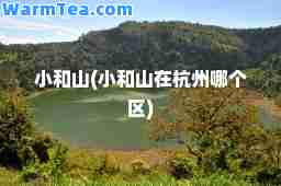 小和山(小和山在杭州哪个区)