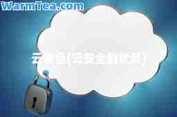 云安全(云安全的优势)