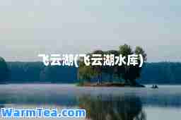 飞云湖(飞云湖水库)