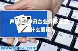 声讯台(声讯台业务移动费是什么费用)