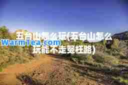 五台山怎么玩(五台山怎么玩能不走冤枉路)