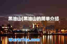黑油山(黑油山的简单介绍)