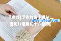 浮点数(浮点数有十进制二进制八进制和十六进制)