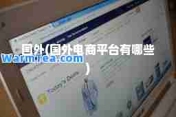 国外(国外电商平台有哪些)