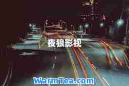 夜狼影视