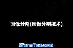 图像分割(图像分割技术)
