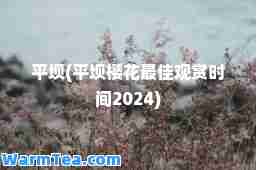 平坝(平坝樱花观赏时间2024)