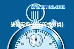缺陷等级(缺陷等级分类)