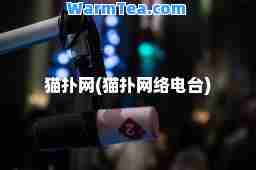 猫扑网(猫扑网络电台)