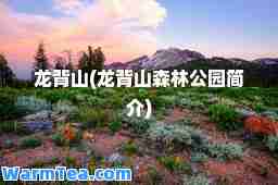 龙背山(龙背山森林公园简介)