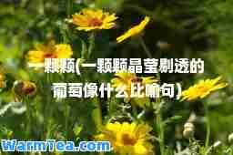 一颗颗(一颗颗晶莹剔透的葡萄像什么比喻句)
