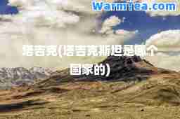 塔吉克(塔吉克斯坦是哪个国家的)