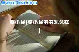 梁小民(梁小民的书怎么样)