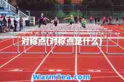对称点(对称点是什么)