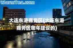 大连东港商务区(大连东港商务区哪年建设的)