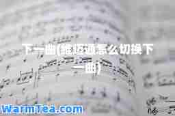 下一曲(维迈通怎么切换下一曲)