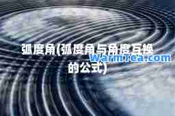 弧度角(弧度角与角度互换的公式)
