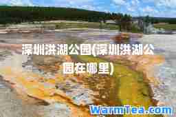 深圳洪湖公园(深圳洪湖公园在哪里)