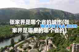 张家界是哪个省的城市(张家界是哪里的哪个省的)
