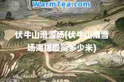 伏牛山滑雪场(伏牛山滑雪场海拔最高多少米)