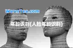 年龄识别(人脸年龄识别)