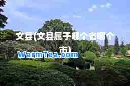 文县(文县属于哪个省哪个市)