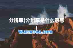 分辨率(分辨率是什么意思)