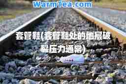 套管鞋(套管鞋处的地层破裂压力通常)