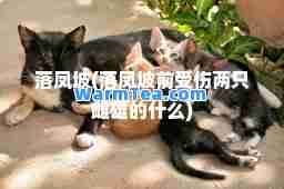 落凤坡(落凤坡前受伤两只雌雄的什么)
