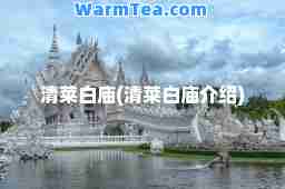 清莱白庙(清莱白庙介绍)