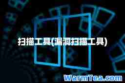 扫描工具(漏洞扫描工具)
