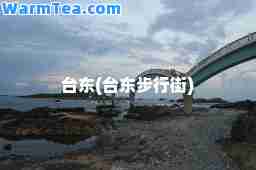 台东(台东步行街)