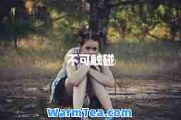 不可触碰
