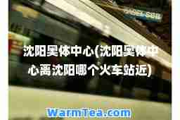 沈阳奥体中心(沈阳奥体中心离沈阳哪个火车站近)