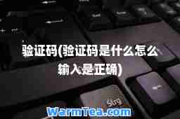 验证码(验证码是什么怎么输入是正确)