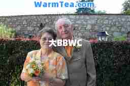 大BBWC