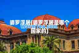 婆罗浮屠(婆罗浮屠是哪个国家的)