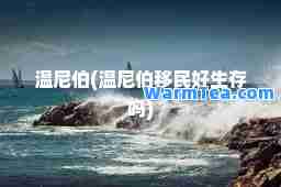 温尼伯(温尼伯好生存吗)