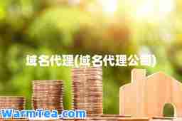 域名代理(域名代理公司)