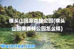 横头山国家森林公园(横头山国家森林公园怎么样)