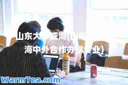 山东大学威海(山东大学威海中外作办学专业)