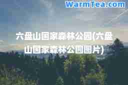 六盘山国家森林公园(六盘山国家森林公园图片)
