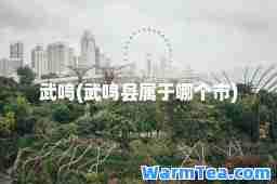 武鸣(武鸣县属于哪个市)