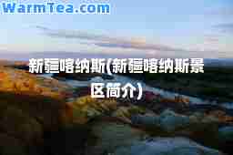 新疆喀纳斯(新疆喀纳斯景区简介)