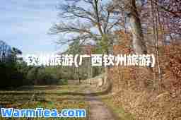 钦州旅游(广西钦州旅游)