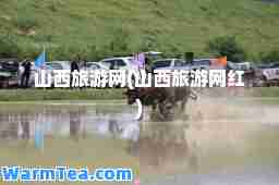 山西旅游网(山西旅游网红)