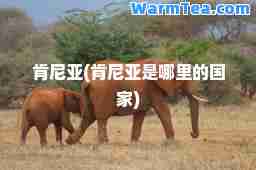肯尼亚(肯尼亚是哪里的国家)